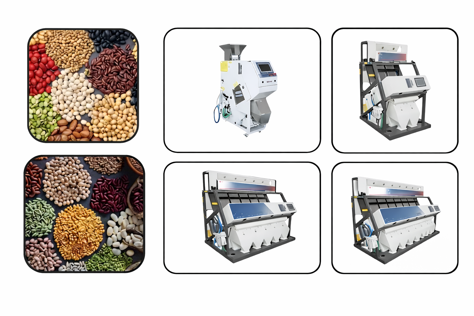 Color sorting machine